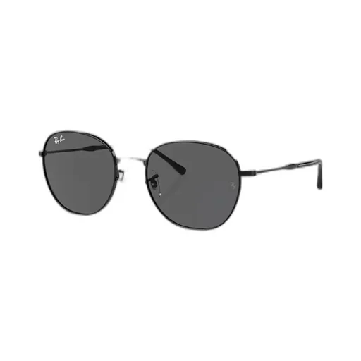 Ray-Ban Round-Frame Sunglasses