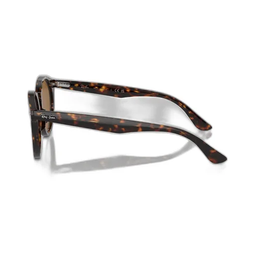 Ray-Ban Round Frame Sunglasses
