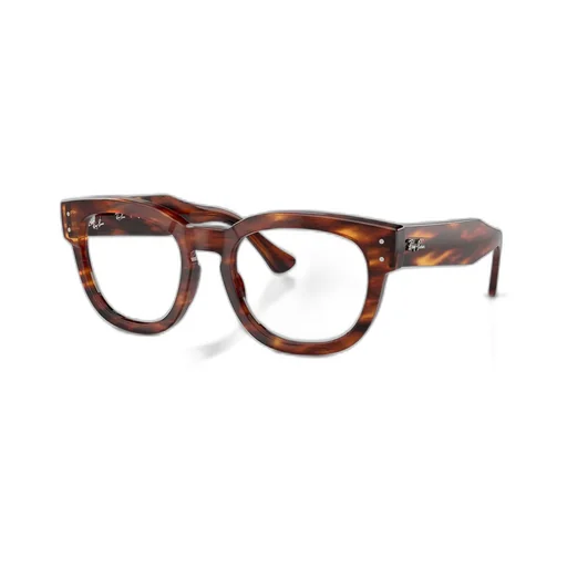 Ray-Ban Round Frame Glasses