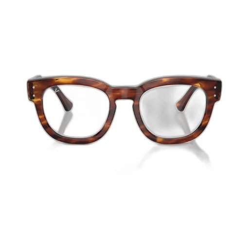 Ray-Ban Round Frame Glasses