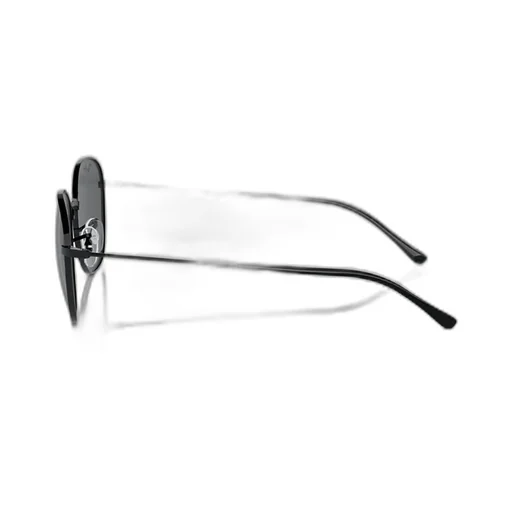Ray-Ban Round-Frame Sunglasses