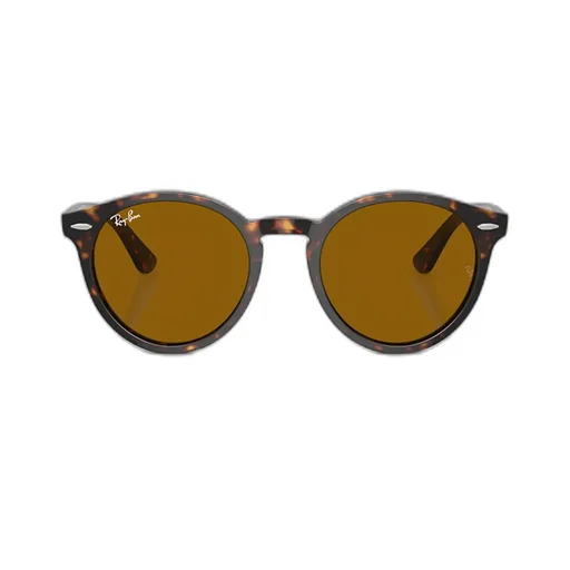 Ray-Ban Round Frame Sunglasses