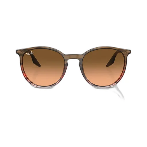 Ray-Ban Round-Frame Sunglasses