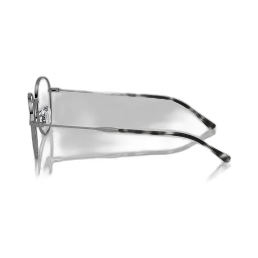 Ray-Ban Round Frame Glasses