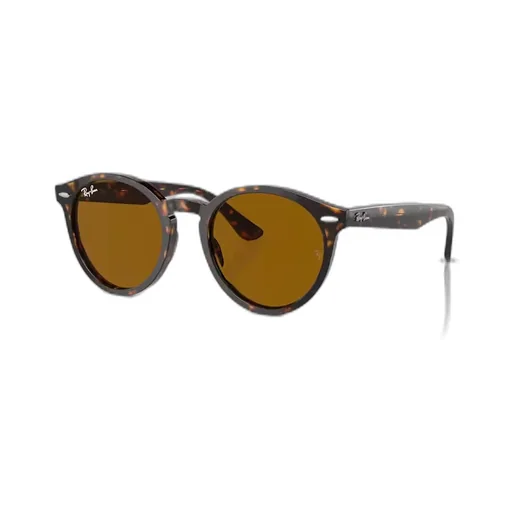Ray-Ban Round Frame Sunglasses
