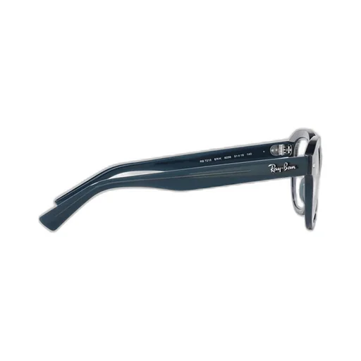 Ray-Ban Erik Square Frame Glasses