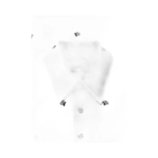 Rier Embroidered Poplin Shirt