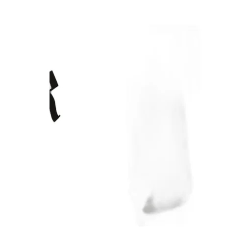 Raf Simons Logo Patch Drawstring Hoodie