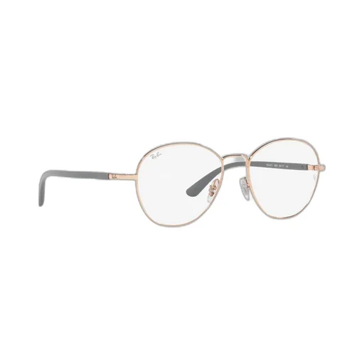 Ray-Ban Round Frame Glasses