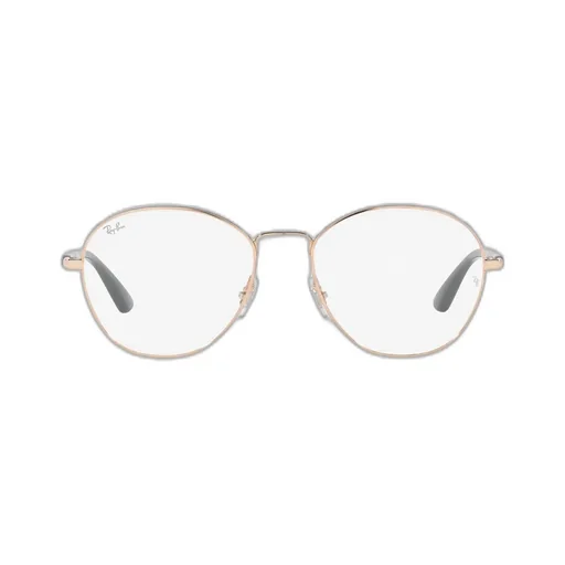 Ray-Ban Round Frame Glasses