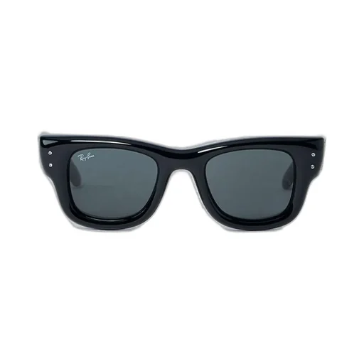 Wayfarer Puffer Sunglasses