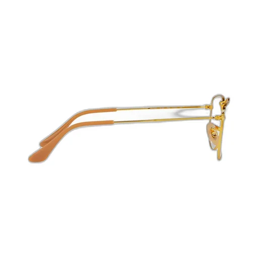 Ray-Ban Round Frame Glasses