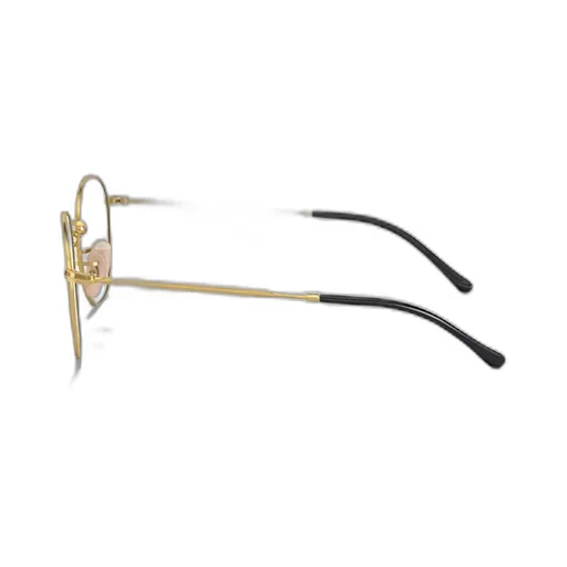 Ray-Ban Round-Frame Glasses