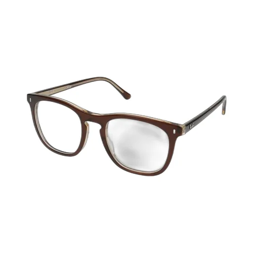 Ray-Ban Oval Frame Glasses