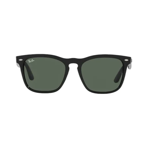 Ray-Ban Iris Round Frame Sunglasses