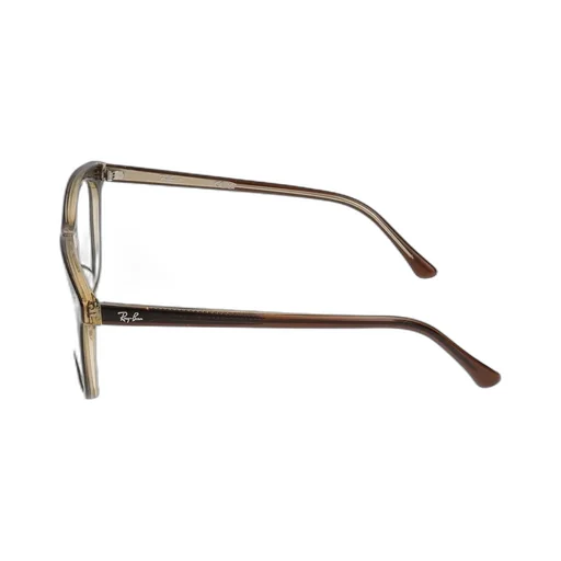 Ray-Ban Oval Frame Glasses