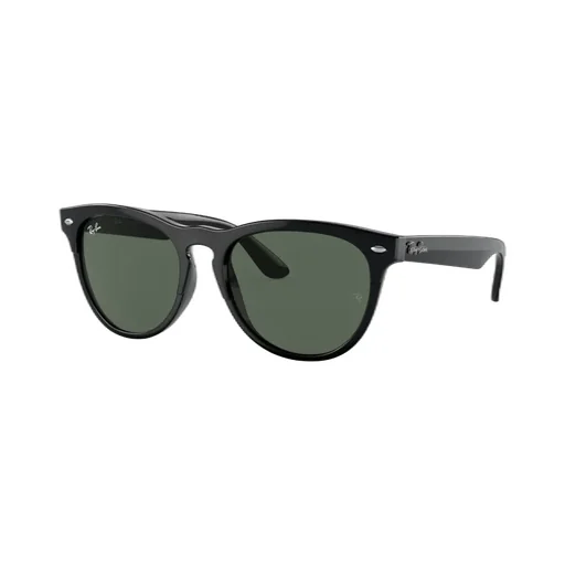 Ray-Ban Iris Round Frame Sunglasses