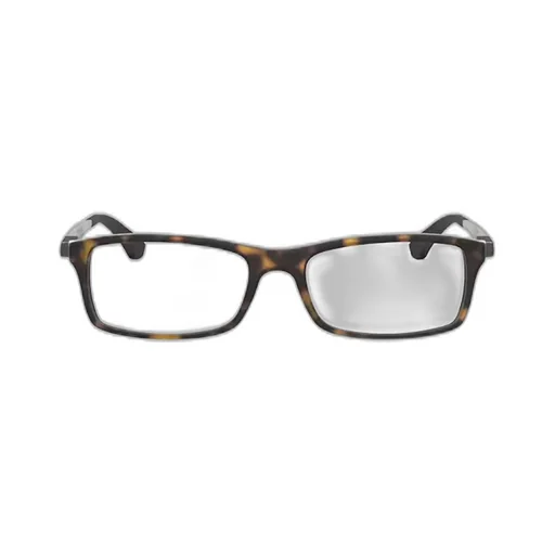 Ray-Ban Rectangle Frame Glasses