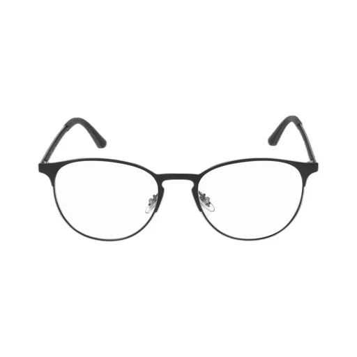 Ray-Ban Panthos Frame Glasses