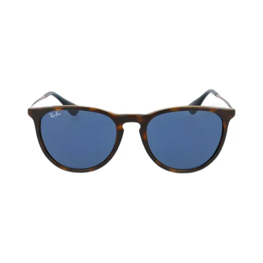 Ray-Ban Erika Oval Frame Sunglasses
