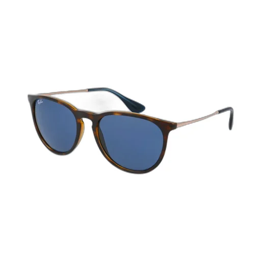 Ray-Ban Erika Oval Frame Sunglasses