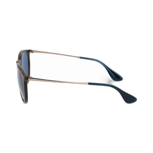 Ray-Ban Erika Oval Frame Sunglasses