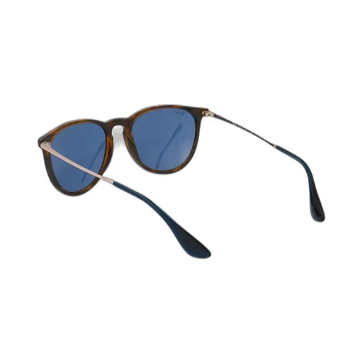 Ray-Ban Erika Oval Frame Sunglasses