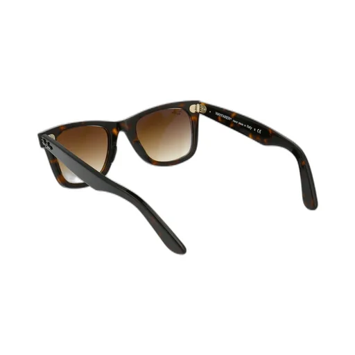 Ray-Ban Original Wayfarer Square Frame Sunglasses