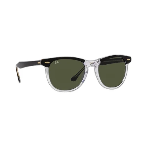 Ray-Ban Eagle Eye Round Frame Sunglasses