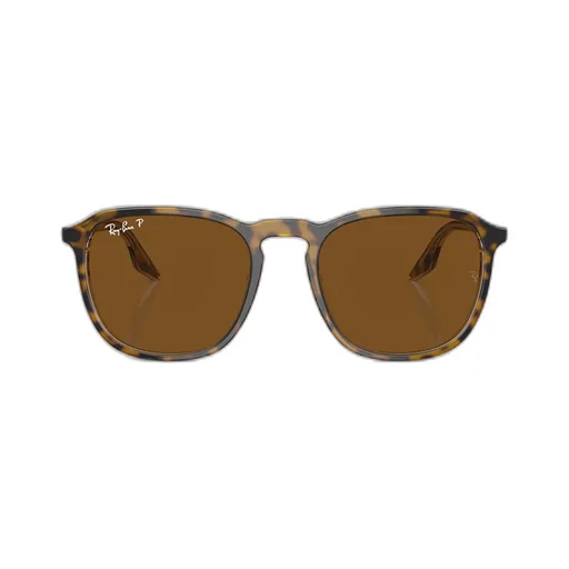 Ray-Ban Oversized-Frame Sunglasses