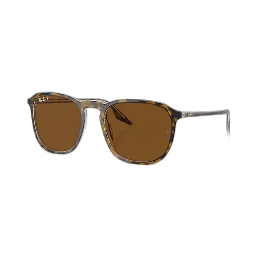 Ray-Ban Oversized-Frame Sunglasses