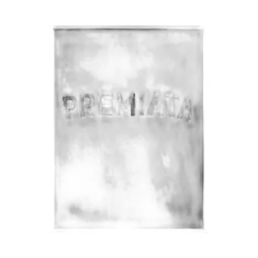 Premiata Logo Printed Crewneck T-Shirt
