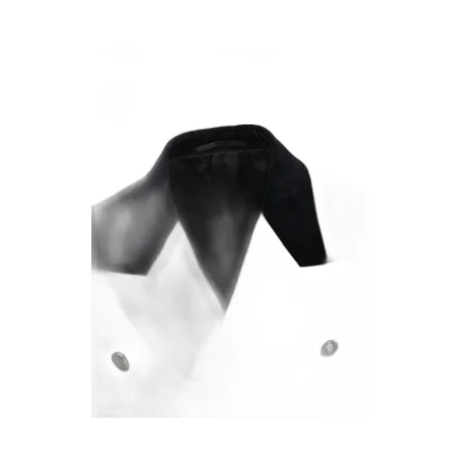 Prada Double-Breasted Tailored Blazer