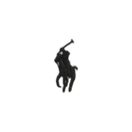 Polo Ralph Lauren Pony Embroidered Crewneck Sweatshirt