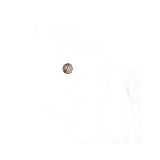 Polo Ralph Lauren Whitman Straight-Leg Trousers