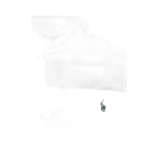Polo Ralph Lauren Pony Embroidered Striped Polo Shirt