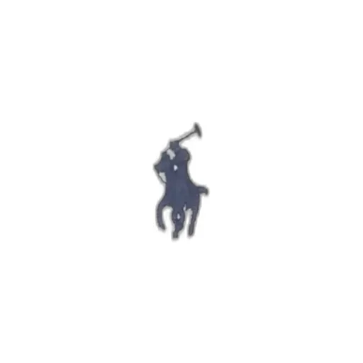 Polo Ralph Lauren Custom Slim Fit Stretched Polo Shirt