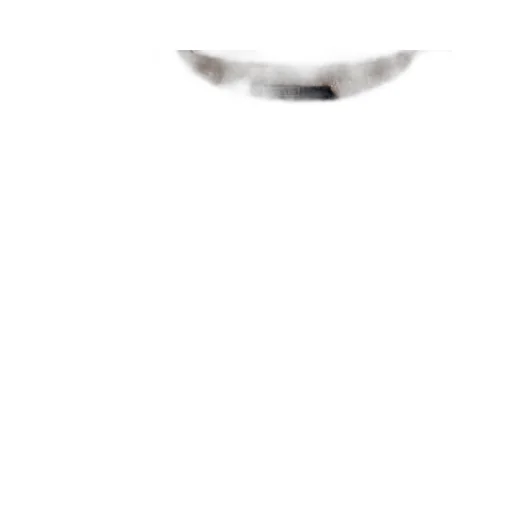 Polo Ralph Lauren Crewneck Knitted Jumper