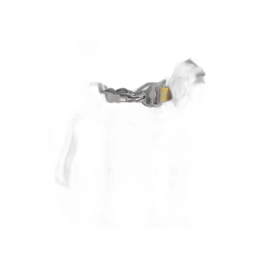 Parajumpers Water Repellent Down Parka