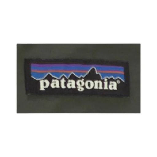 Patagonia Jackson Hooded Parka