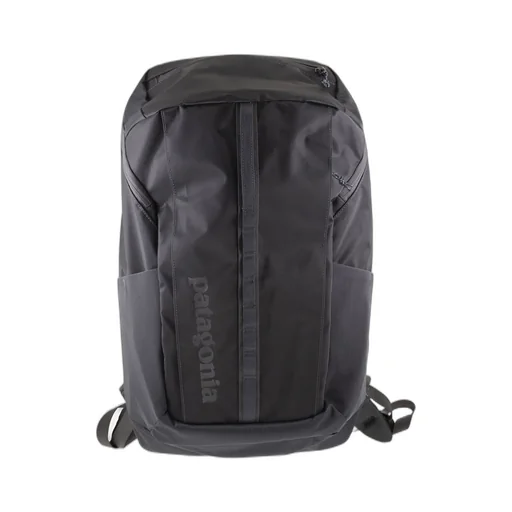 Patagonia Black Hole 25L Backpack