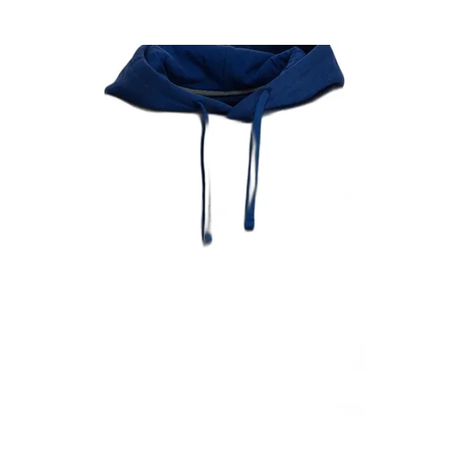 Patagonia Logo Hoodie Sweater