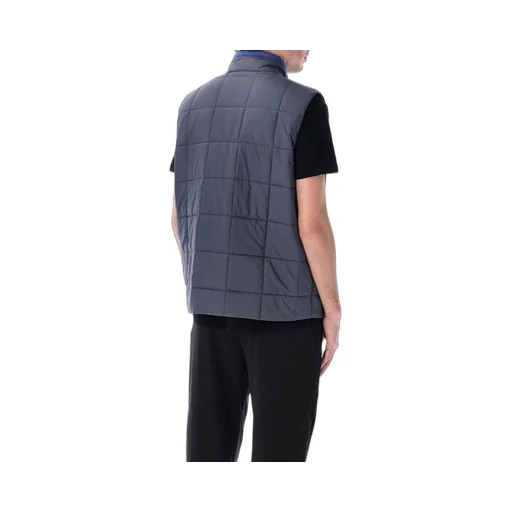 Patagonia Light Gust Vest
