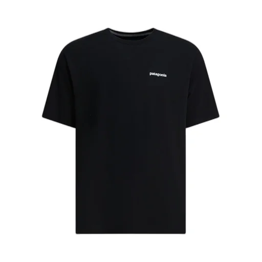 Patagonia P-6 Logo Responsibili-Tee T-Shirt