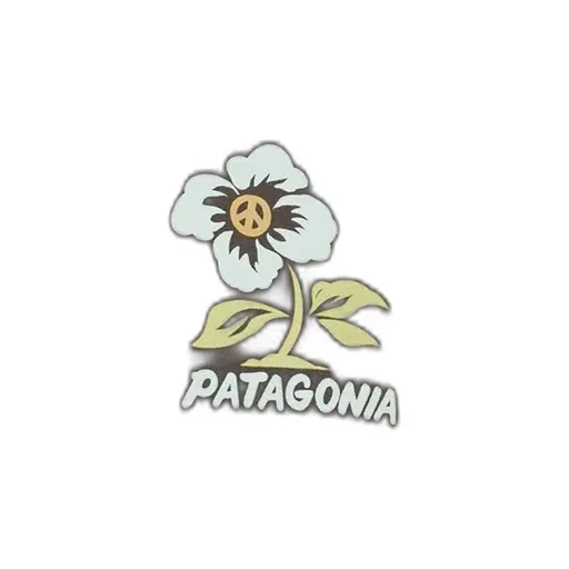 Patagonia Graphic T-Shirt