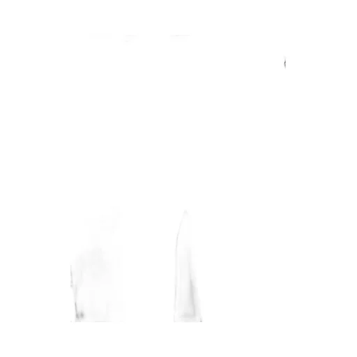 Patagonia Utility Cargo Pants