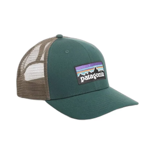 Patagonia P-6 Logo Trucker Hat