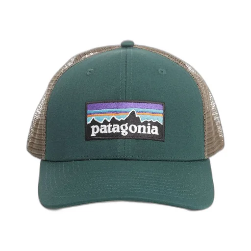 Patagonia P-6 Logo Trucker Hat