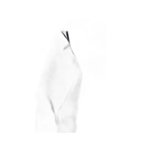 Paul & Shark Typhoon Down Jacket