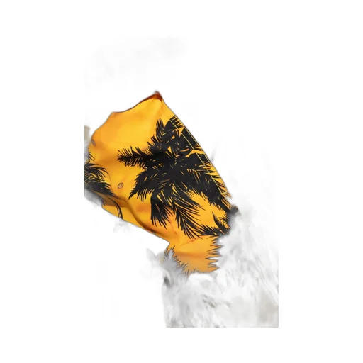 Palm Angels X Vilebrequin Graphic Printed Swim Shorts